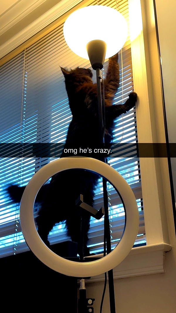 xxxtinacarmella image ~ Altpins