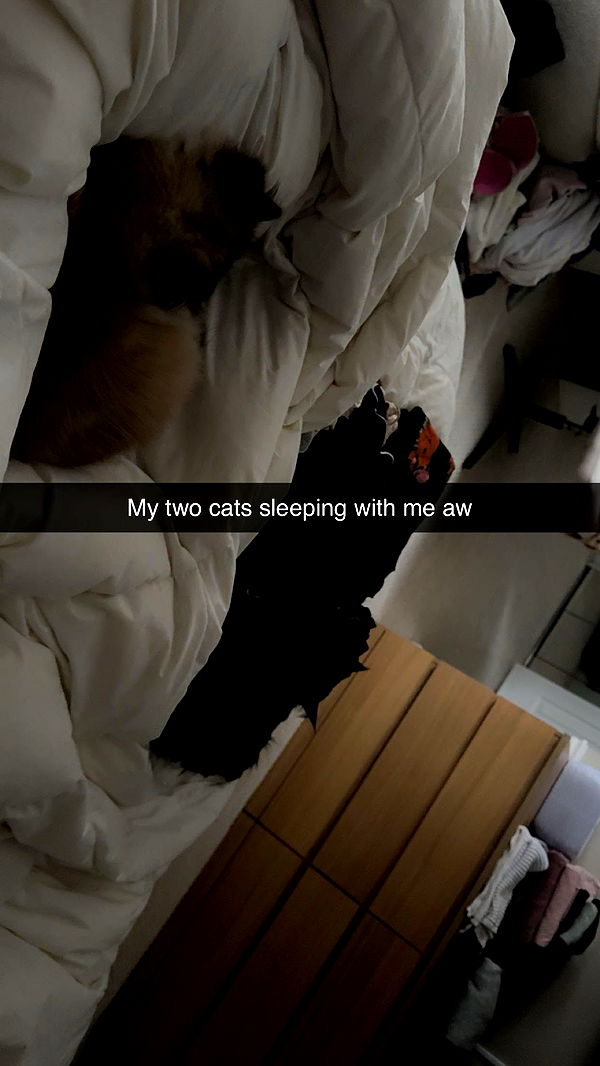 xxxtinacarmella image ~ Altpins