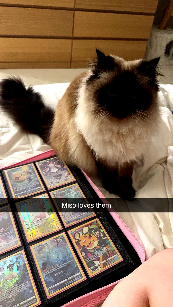 xxxtinacarmella image ~ Altpins