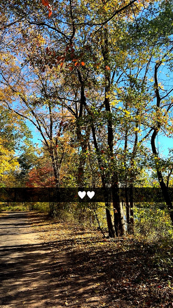 xxxtinacarmella image ~ Altpins