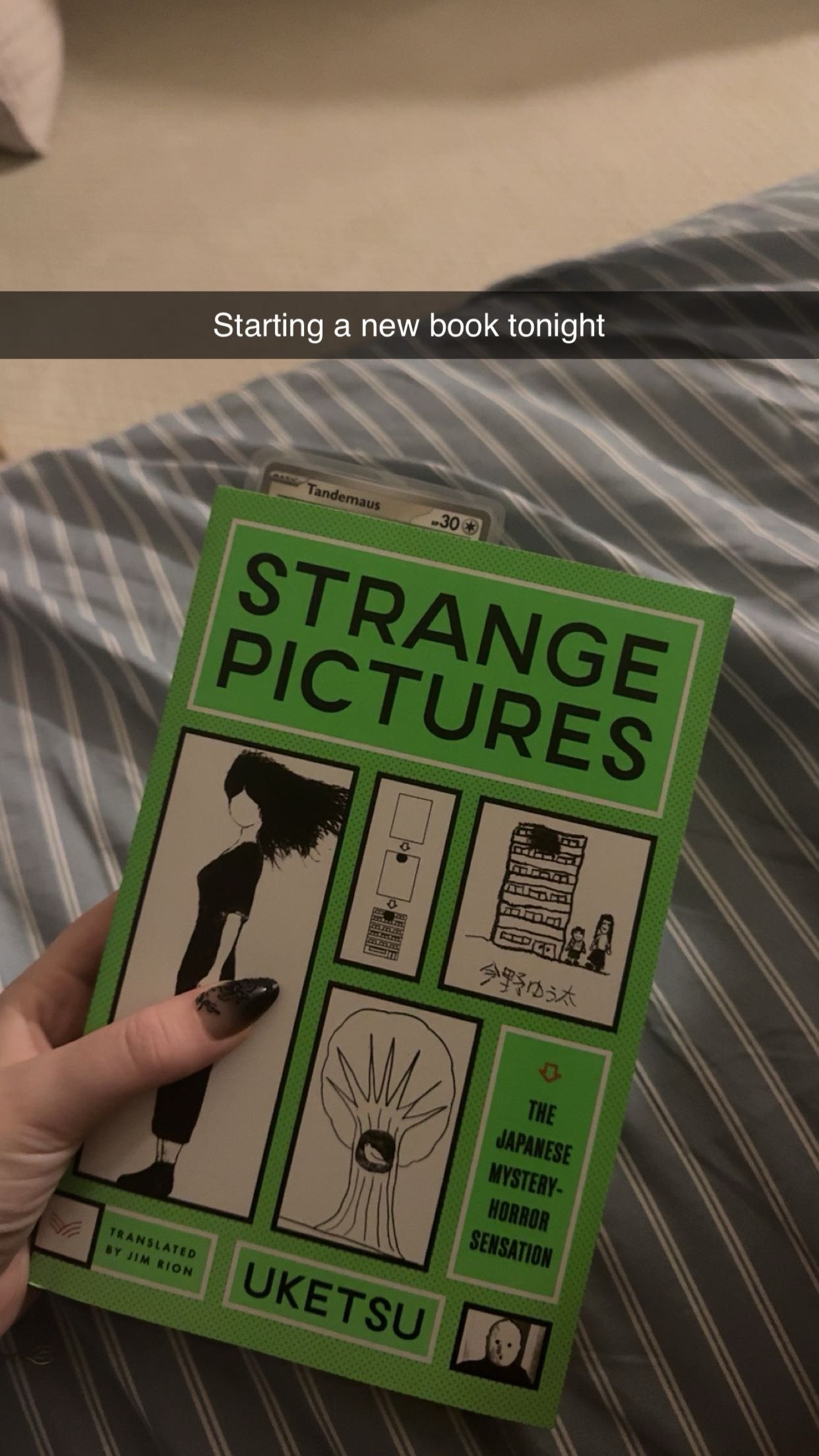 xxxtinacarmella snapchat image archive image