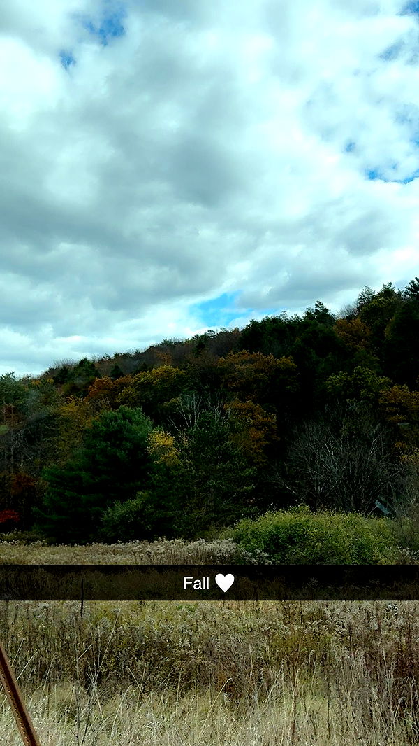 xxxtinacarmella image ~ Altpins