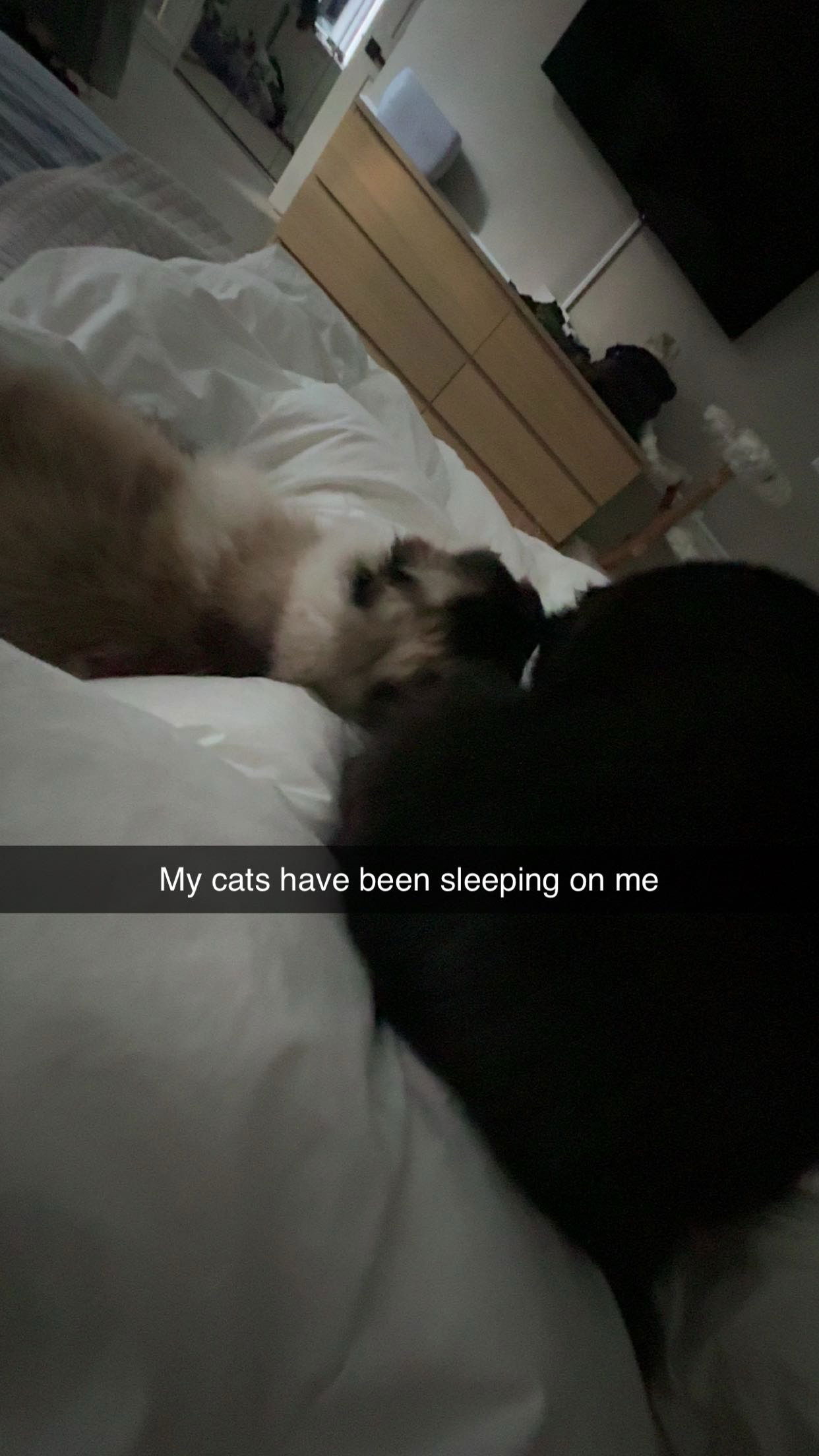 xxxtinacarmella snapchat image archive image