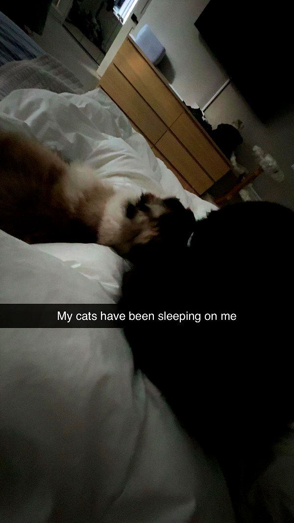 xxxtinacarmella image ~ Altpins