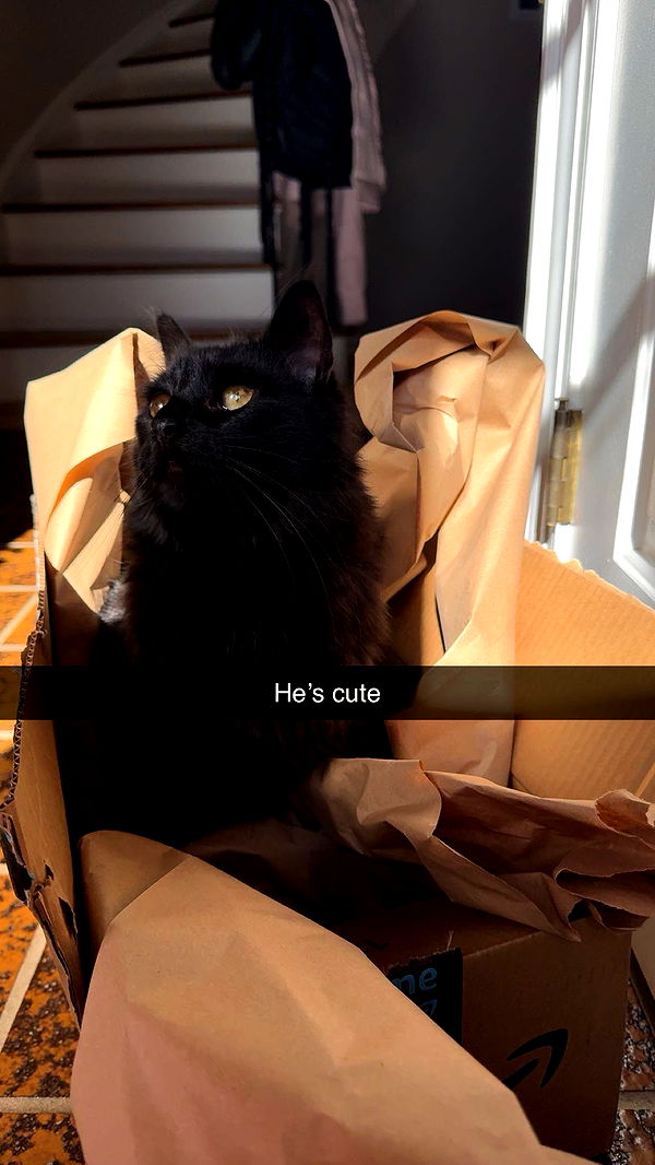 xxxtinacarmella image ~ Altpins