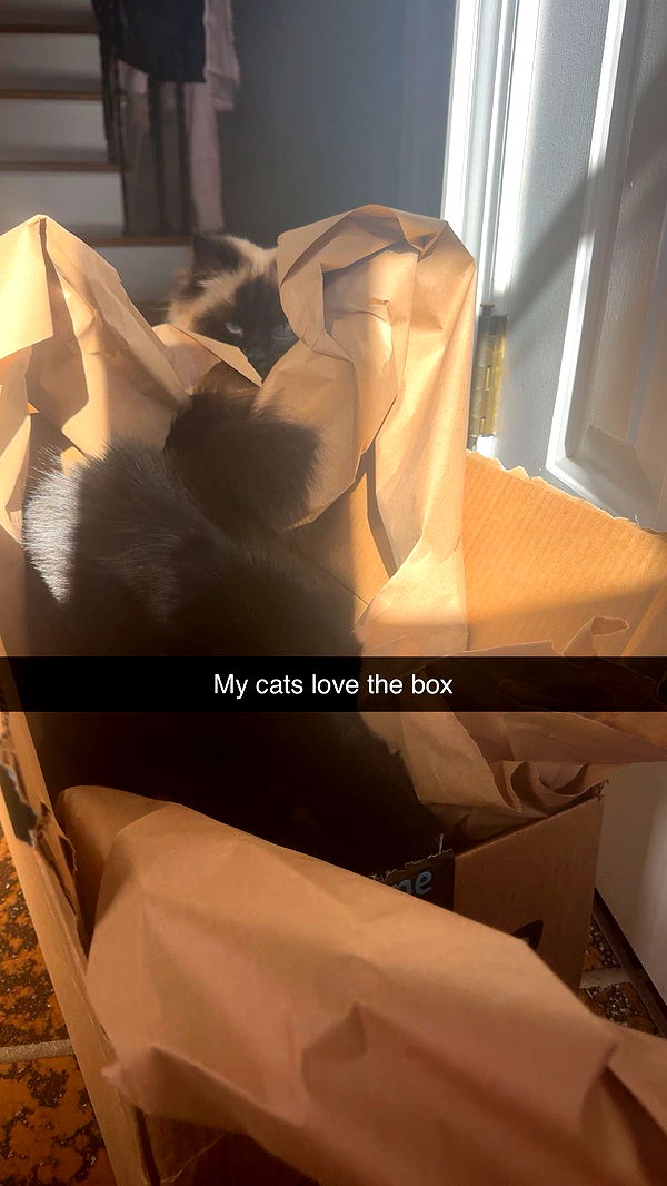 xxxtinacarmella image ~ Altpins