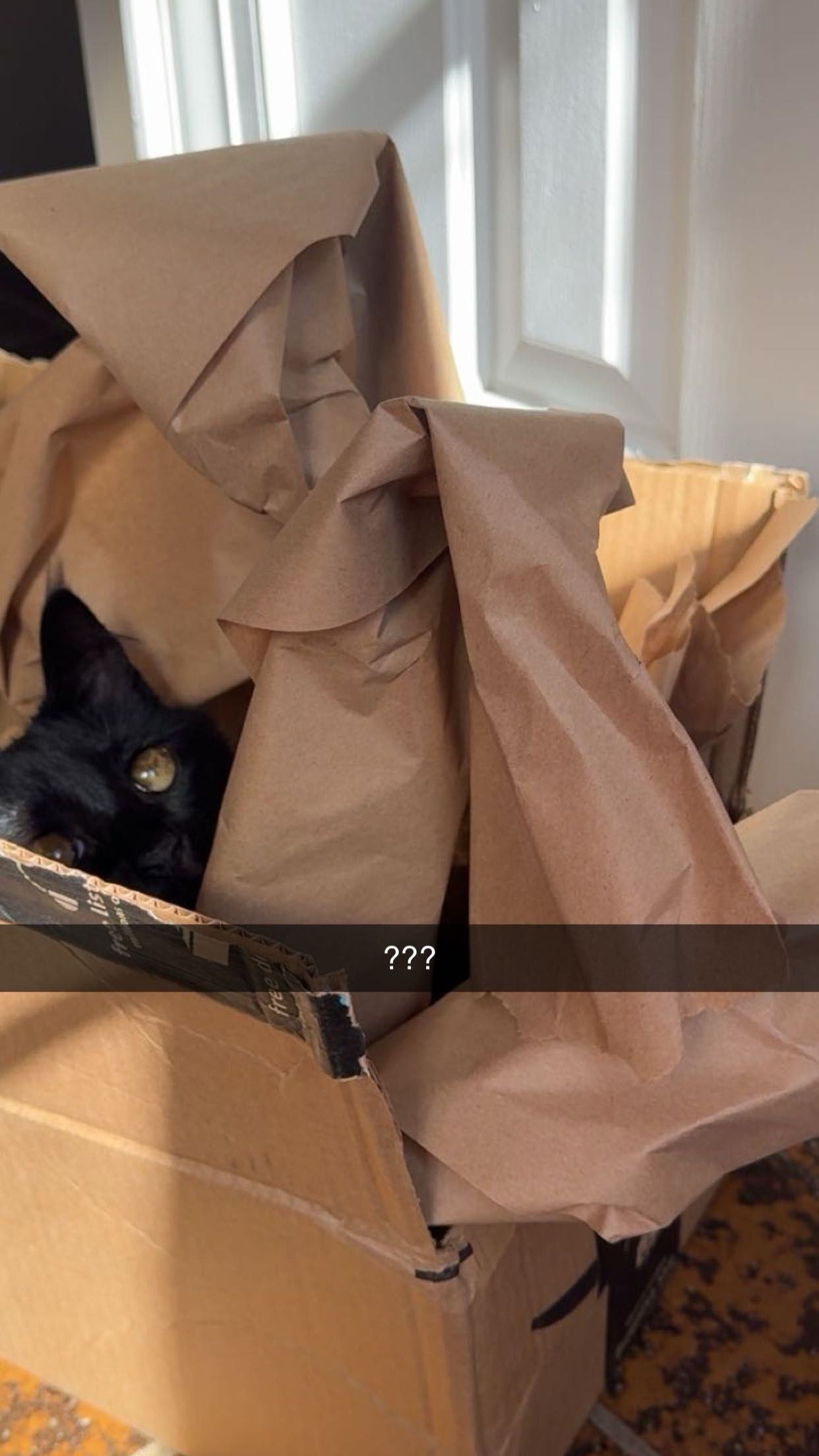 xxxtinacarmella snapchat image archive image