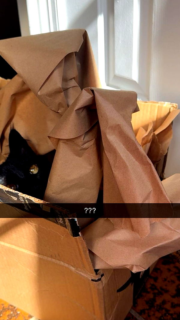 xxxtinacarmella image ~ Altpins