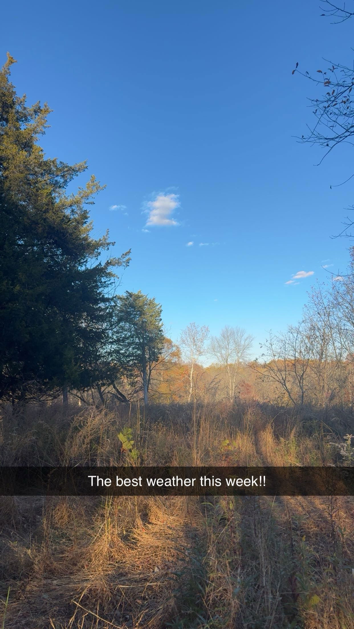 xxxtinacarmella snapchat image archive image