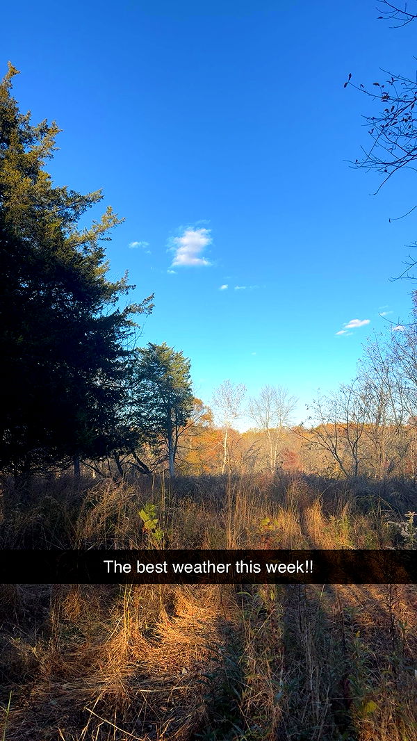 xxxtinacarmella image ~ Altpins