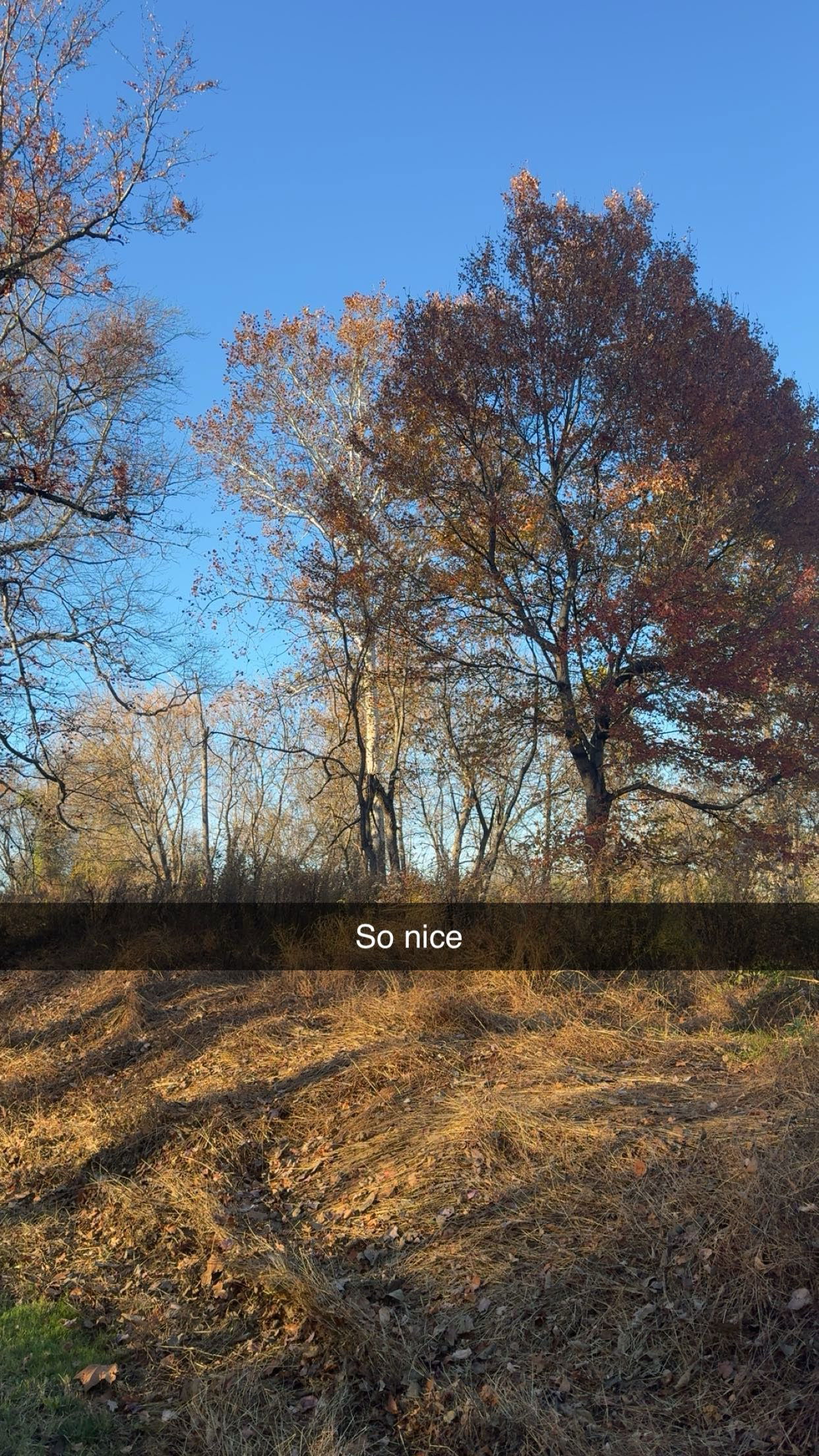 xxxtinacarmella snapchat image archive image