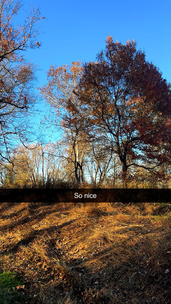 xxxtinacarmella image ~ Altpins