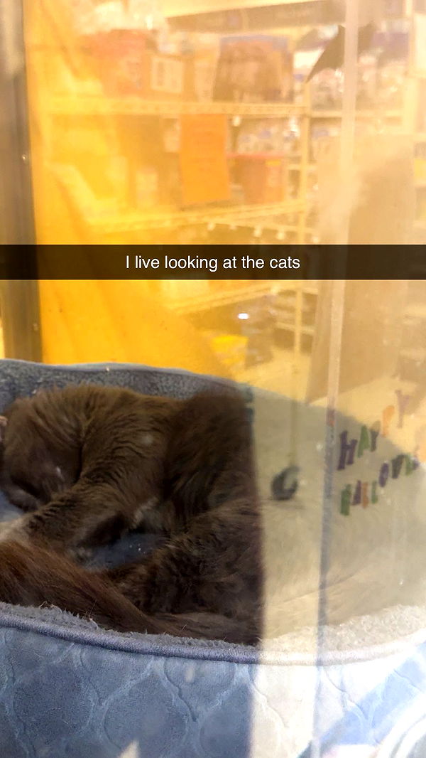 xxxtinacarmella image ~ Altpins