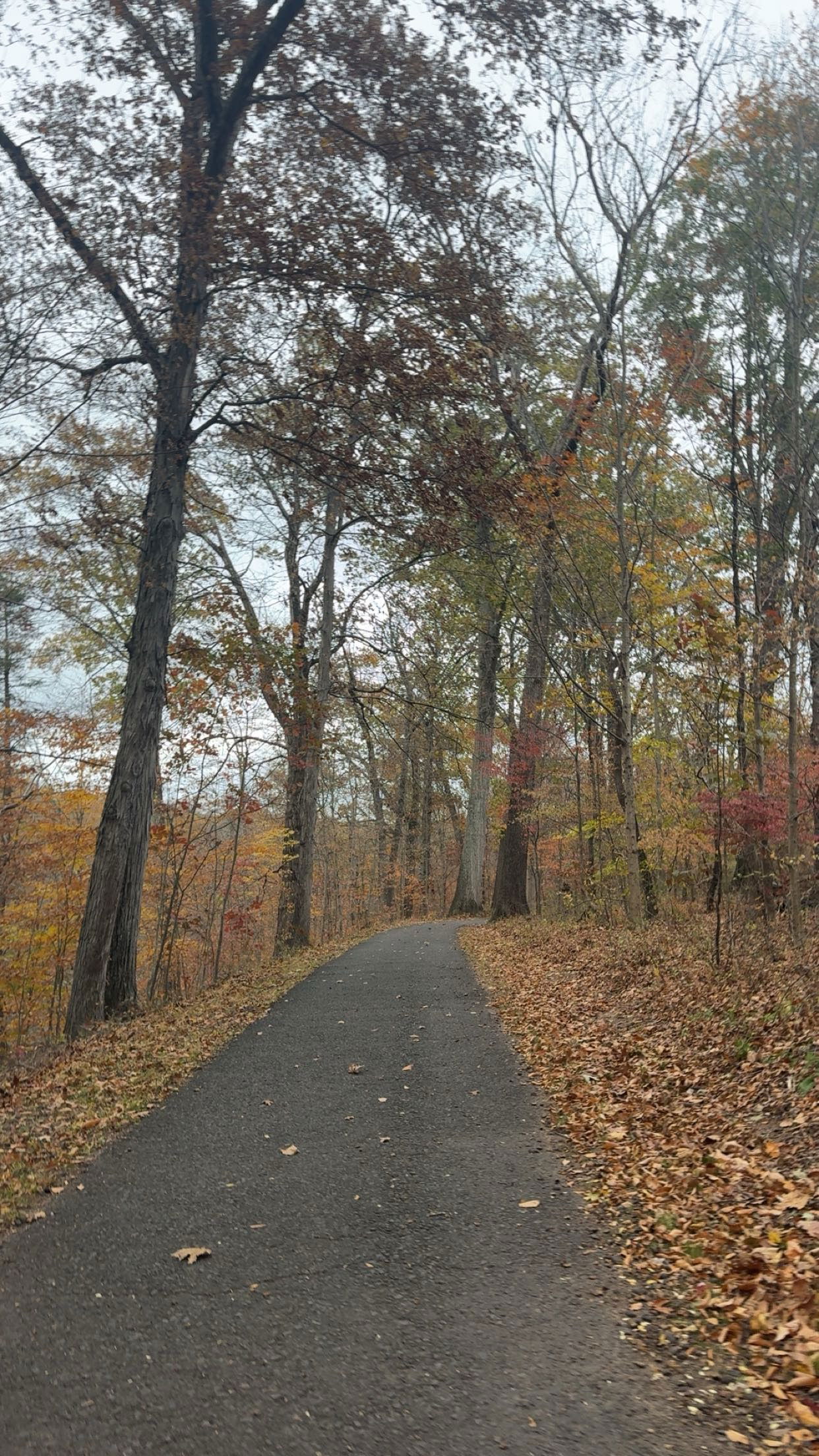 xxxtinacarmella snapchat image archive image