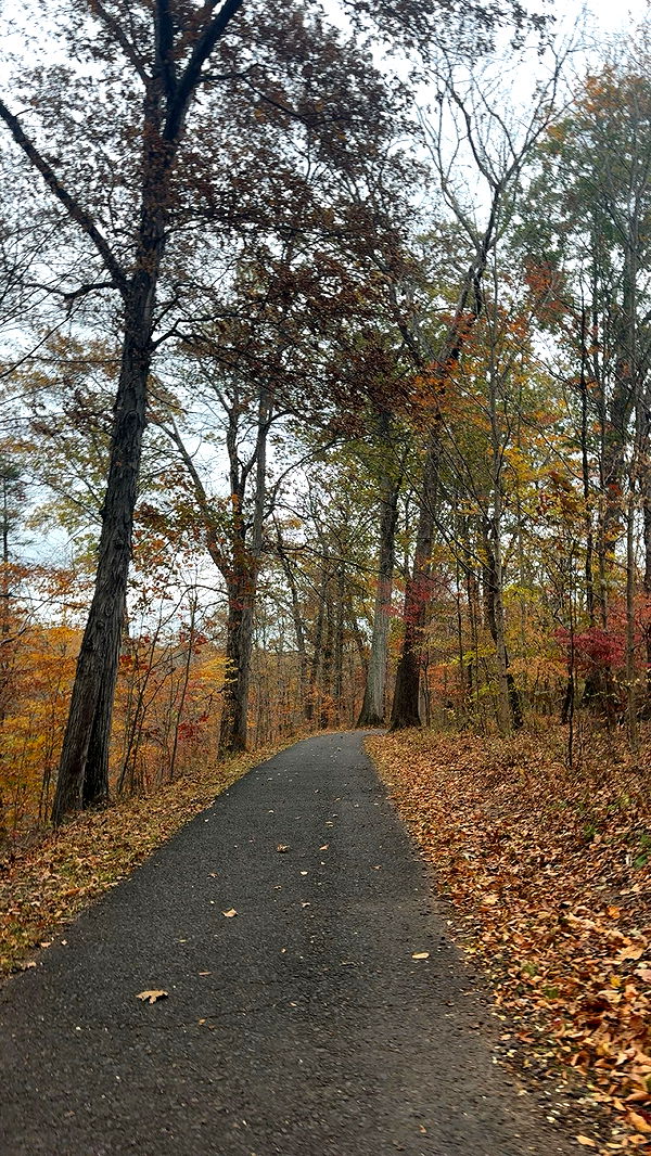 xxxtinacarmella image ~ Altpins