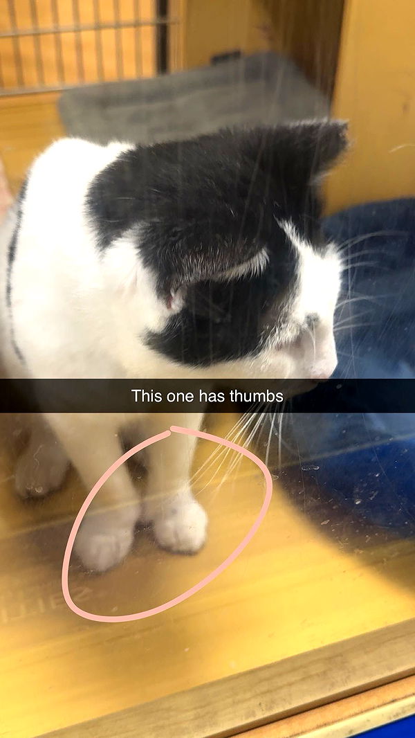 xxxtinacarmella image ~ Altpins