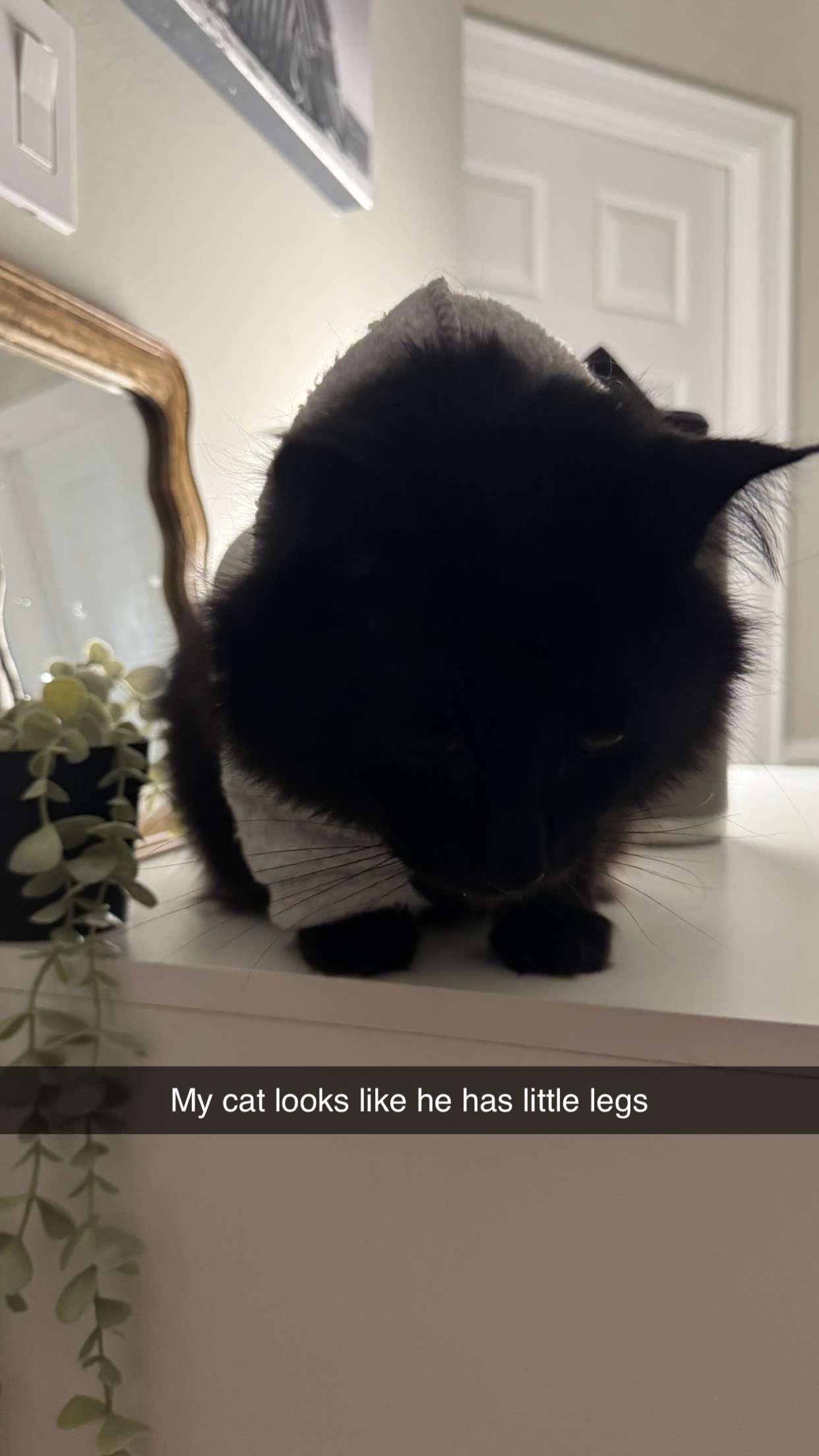 xxxtinacarmella snapchat image archive image