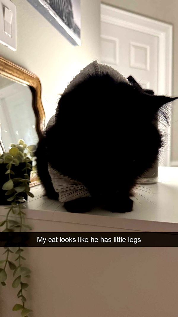 xxxtinacarmella image ~ Altpins