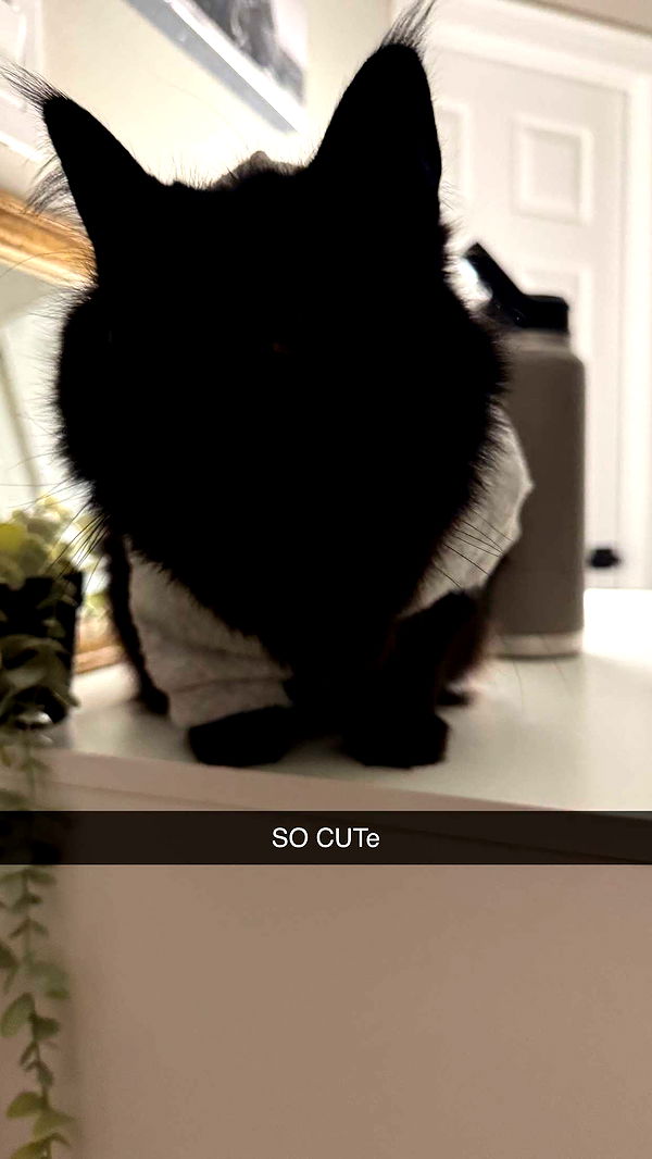 xxxtinacarmella image ~ Altpins