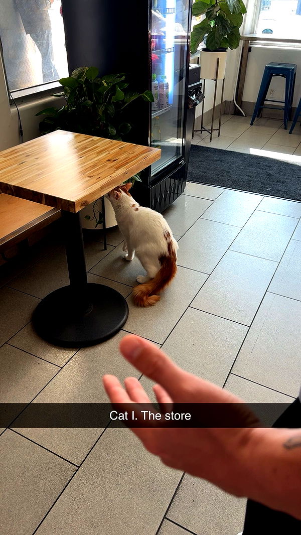 xxxtinacarmella image ~ Altpins