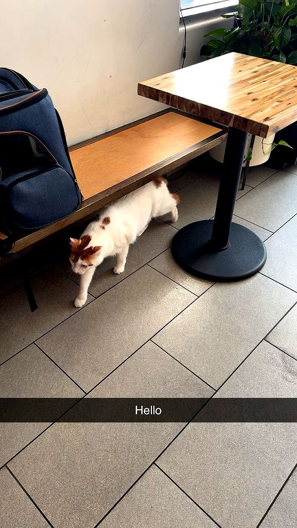 xxxtinacarmella image ~ Altpins