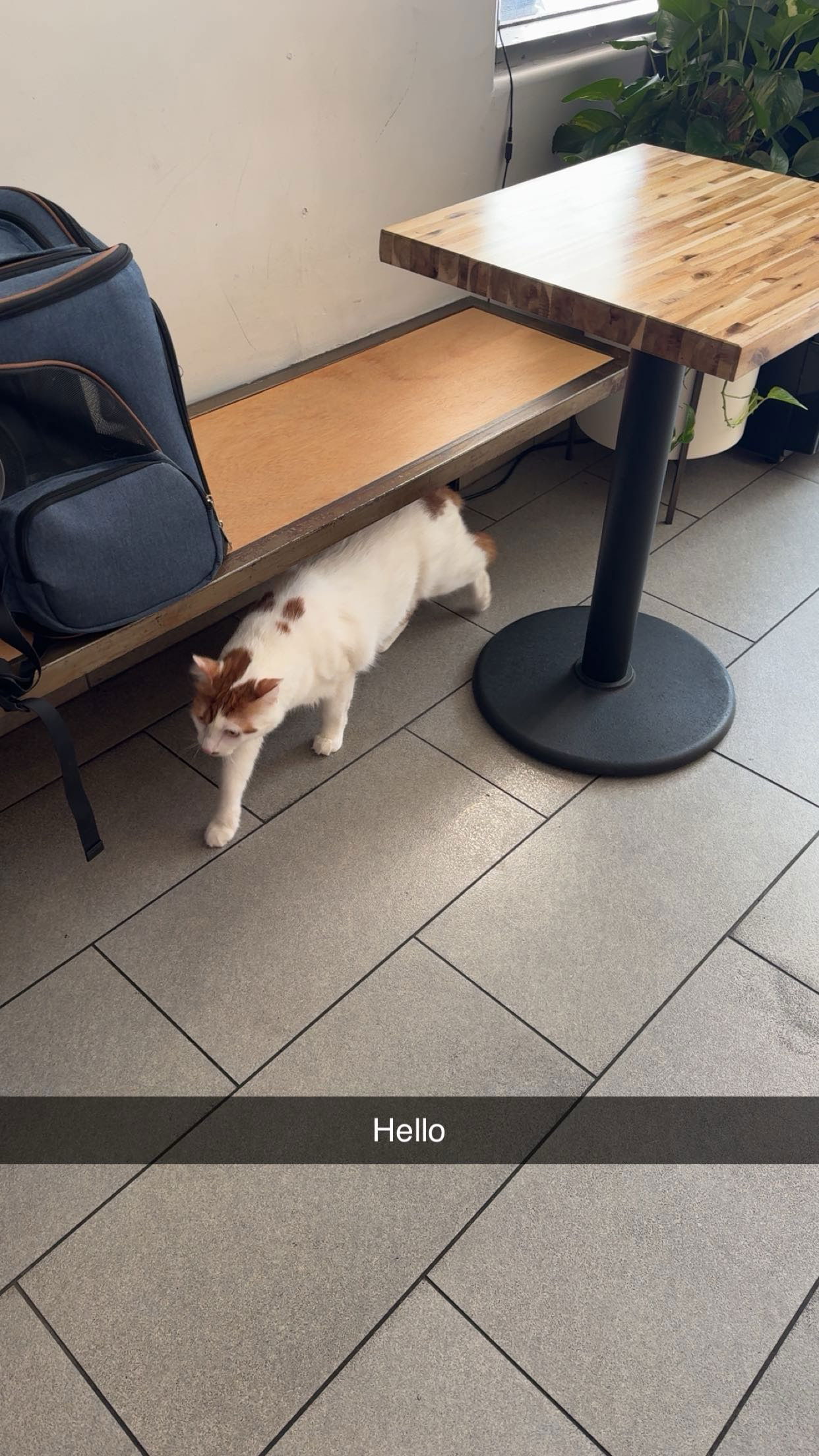 xxxtinacarmella snapchat image archive image