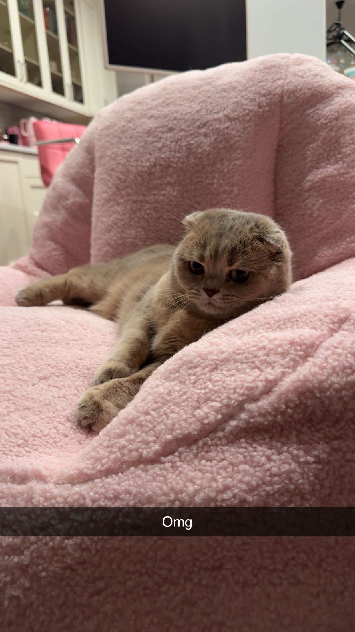 xxxtinacarmella snapchat image archive image