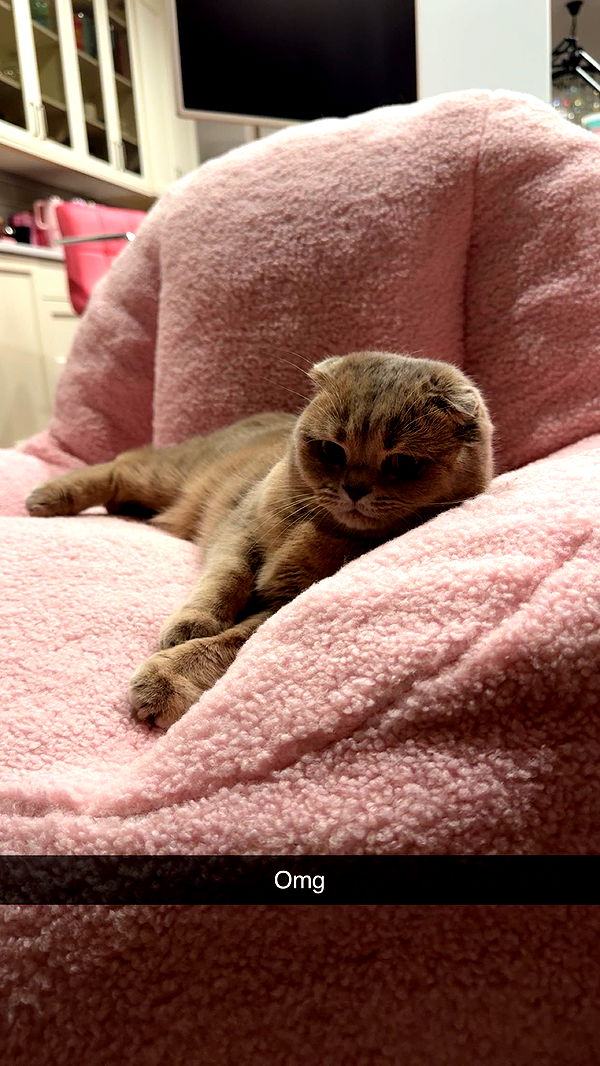 xxxtinacarmella image ~ Altpins