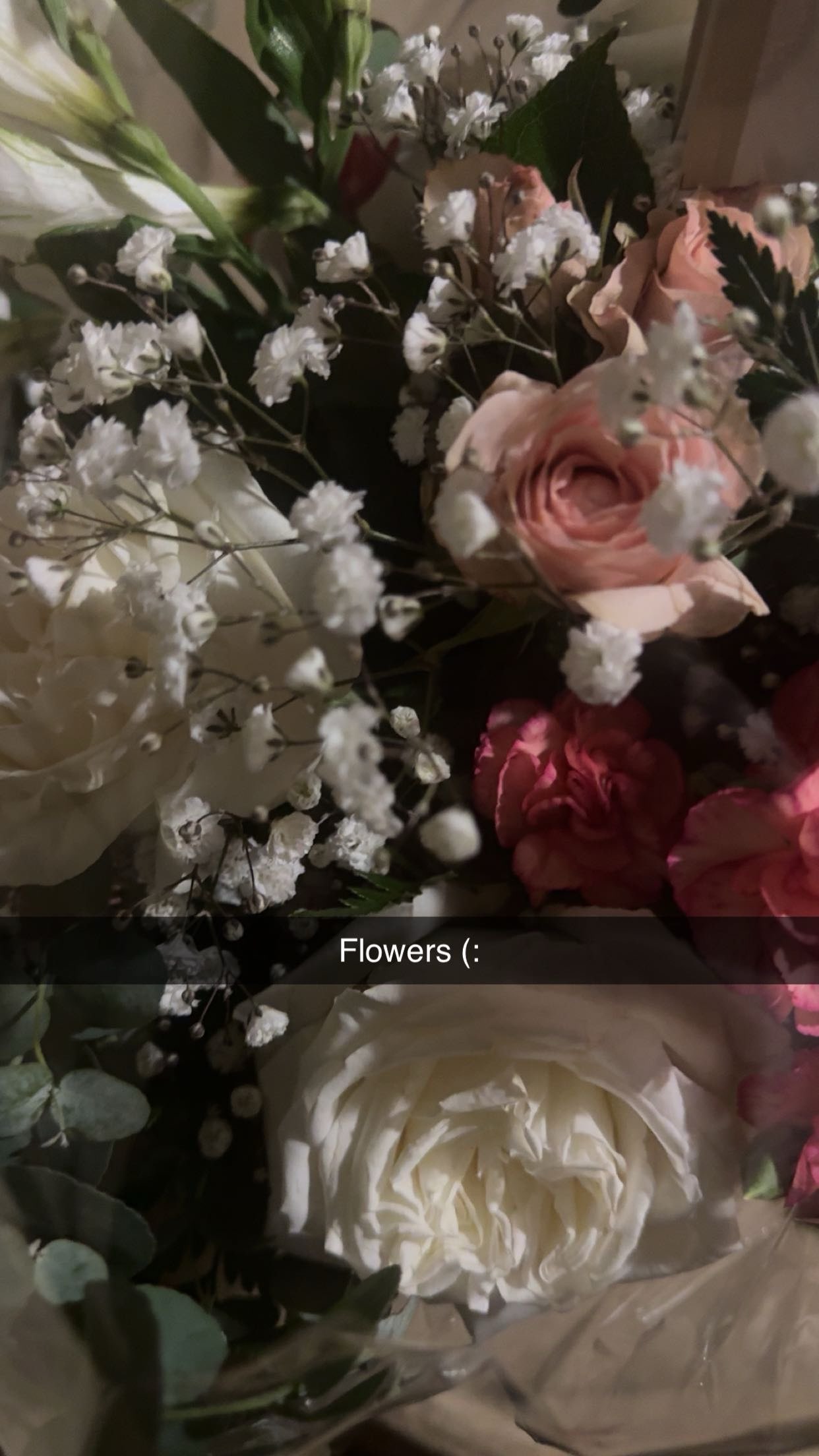 xxxtinacarmella snapchat image archive image