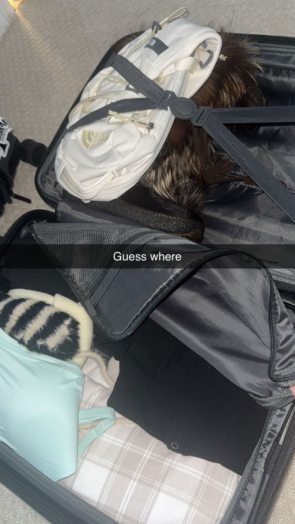 xxxtinacarmella snapchat image archive image