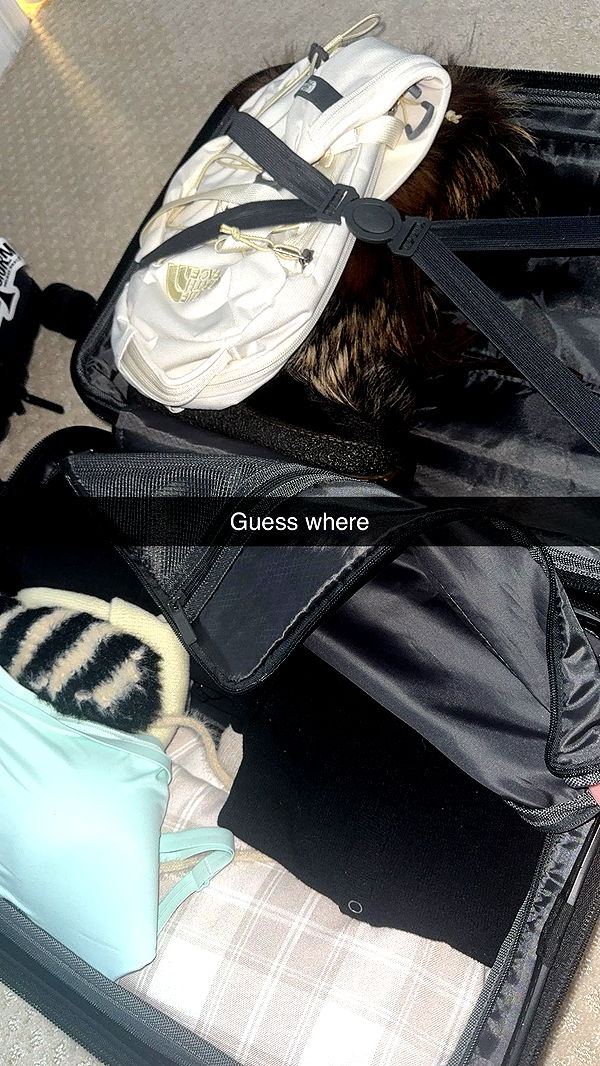 xxxtinacarmella image ~ Altpins