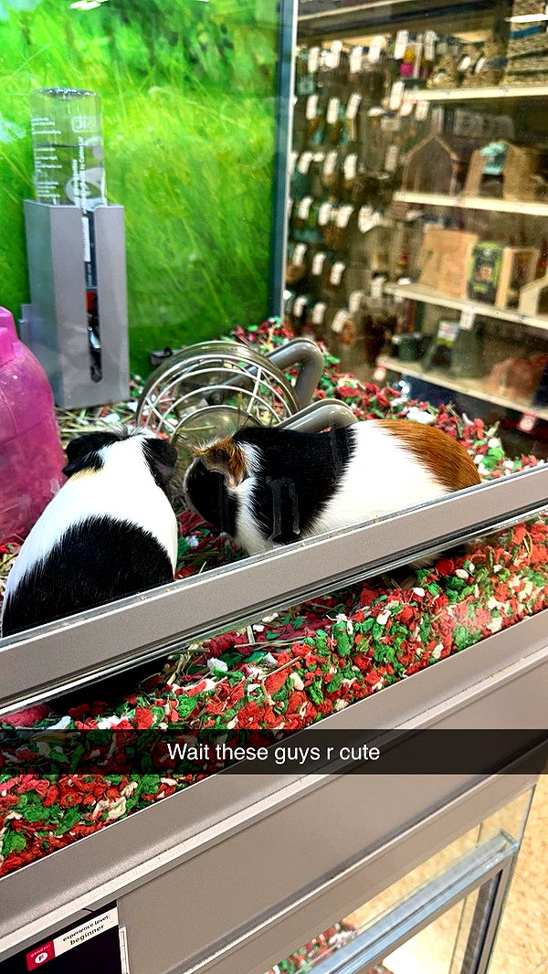 xxxtinacarmella image ~ Altpins