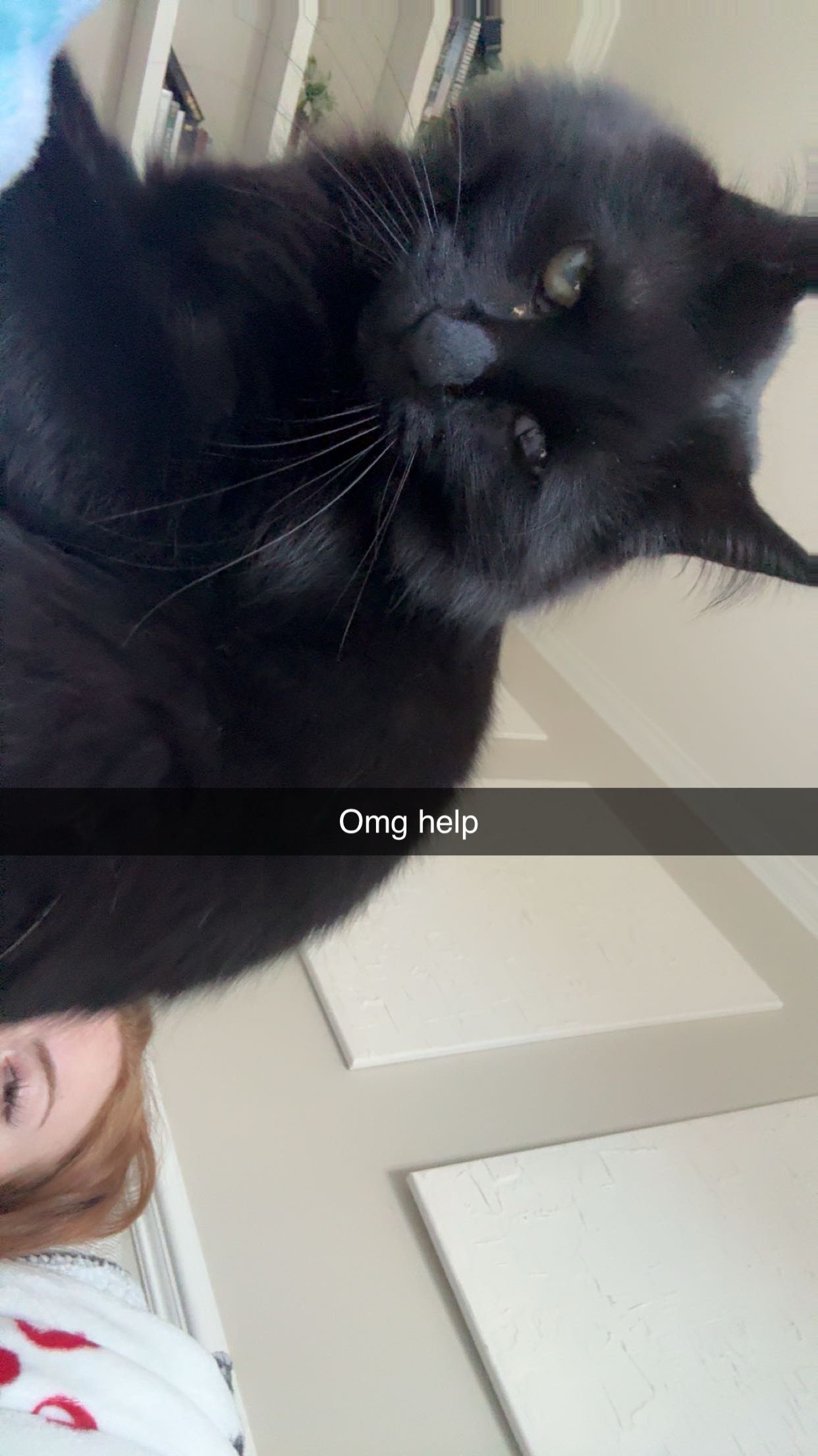 xxxtinacarmella snapchat image archive image