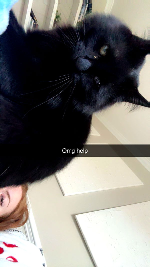 xxxtinacarmella image ~ Altpins