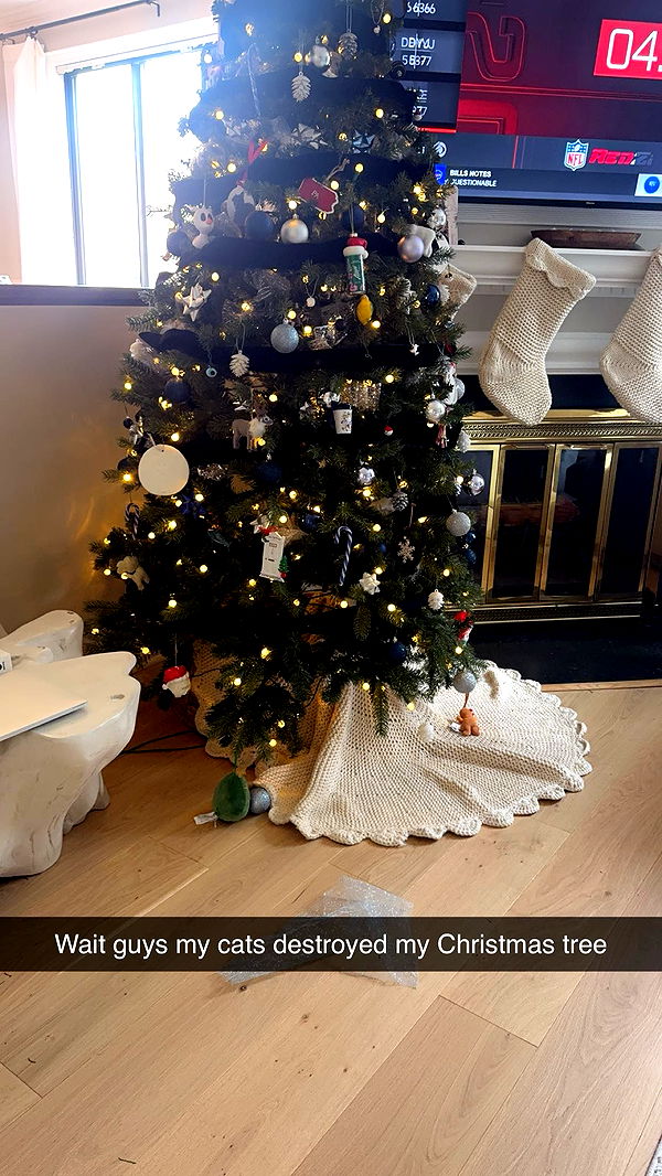 xxxtinacarmella image ~ Altpins