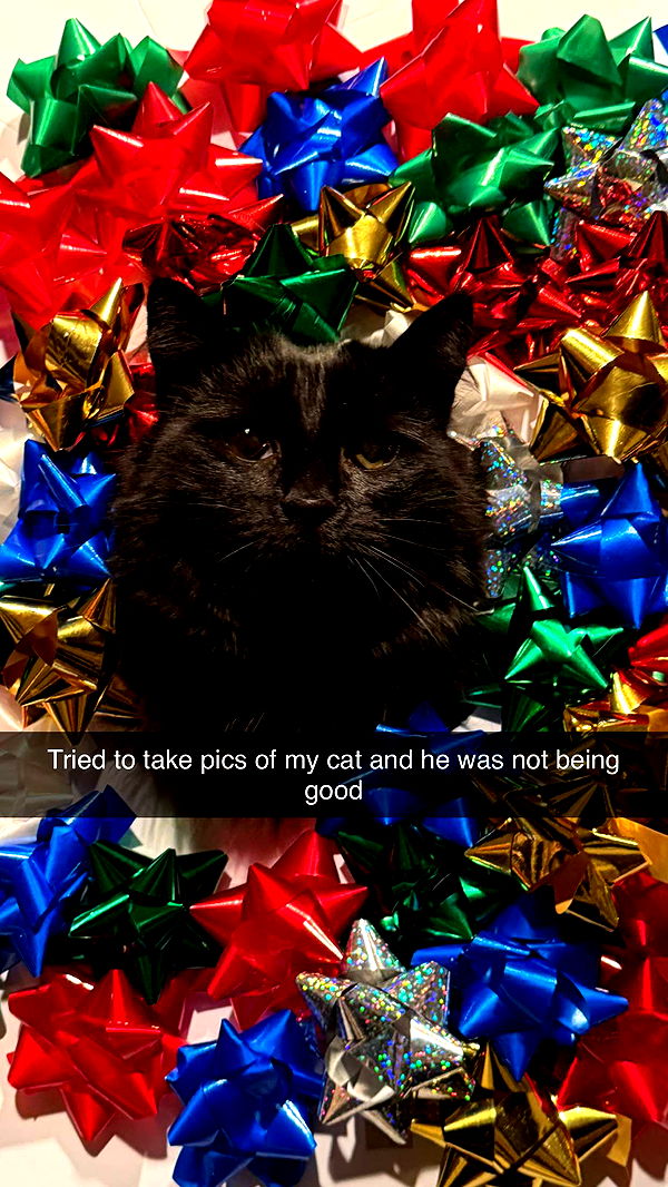 xxxtinacarmella image ~ Altpins