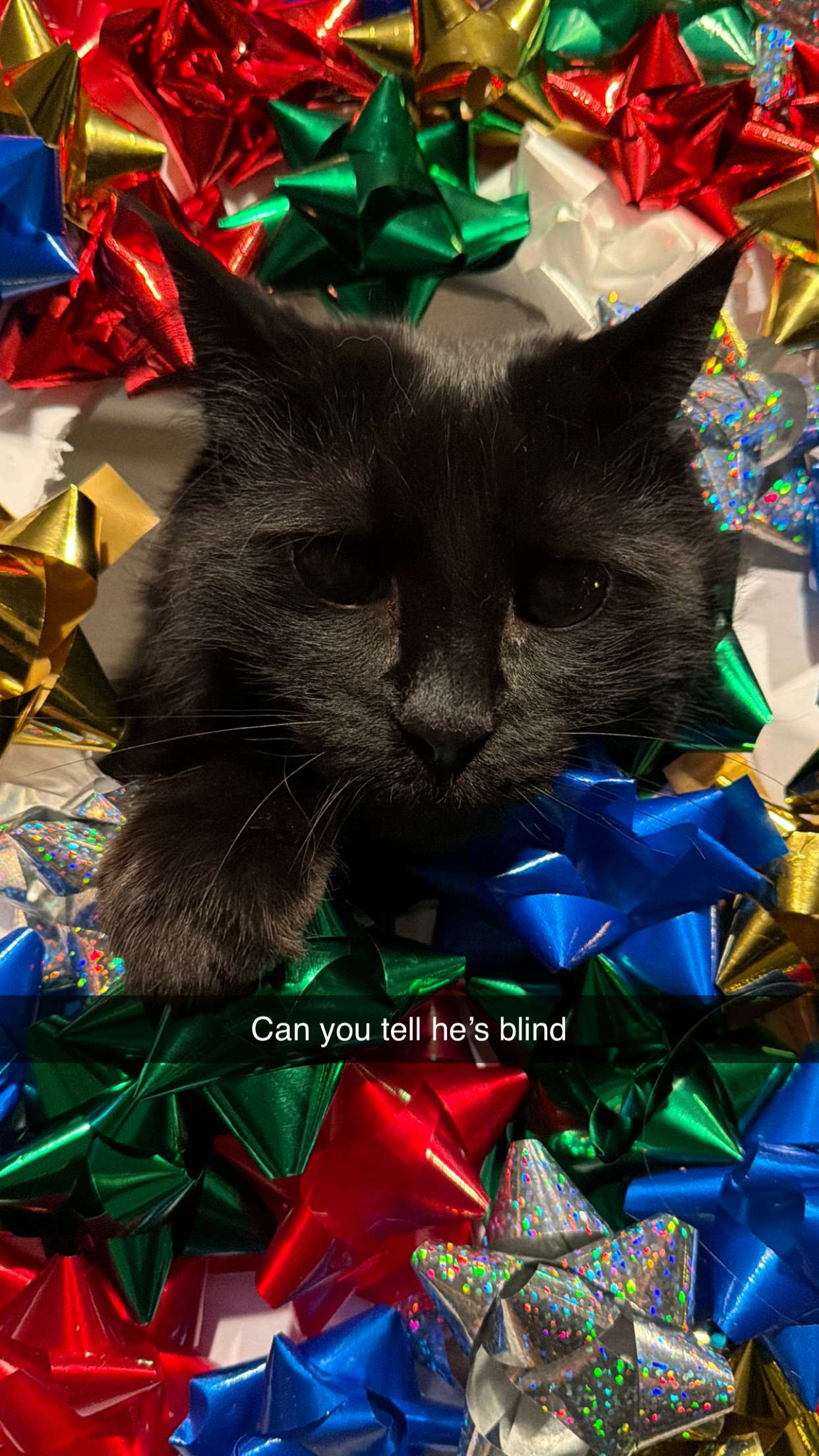 xxxtinacarmella snapchat image archive image