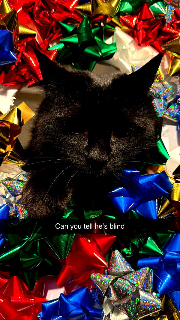 xxxtinacarmella image ~ Altpins