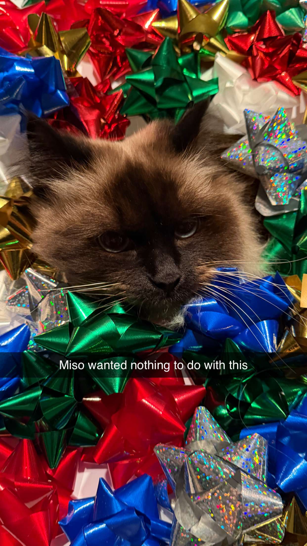 xxxtinacarmella snapchat image archive image