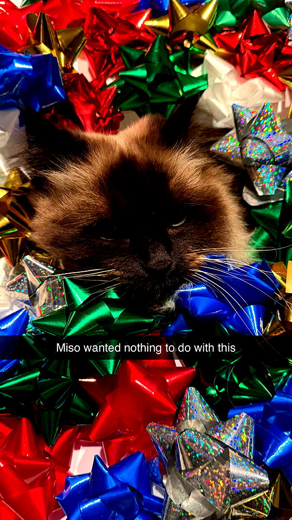 xxxtinacarmella image ~ Altpins