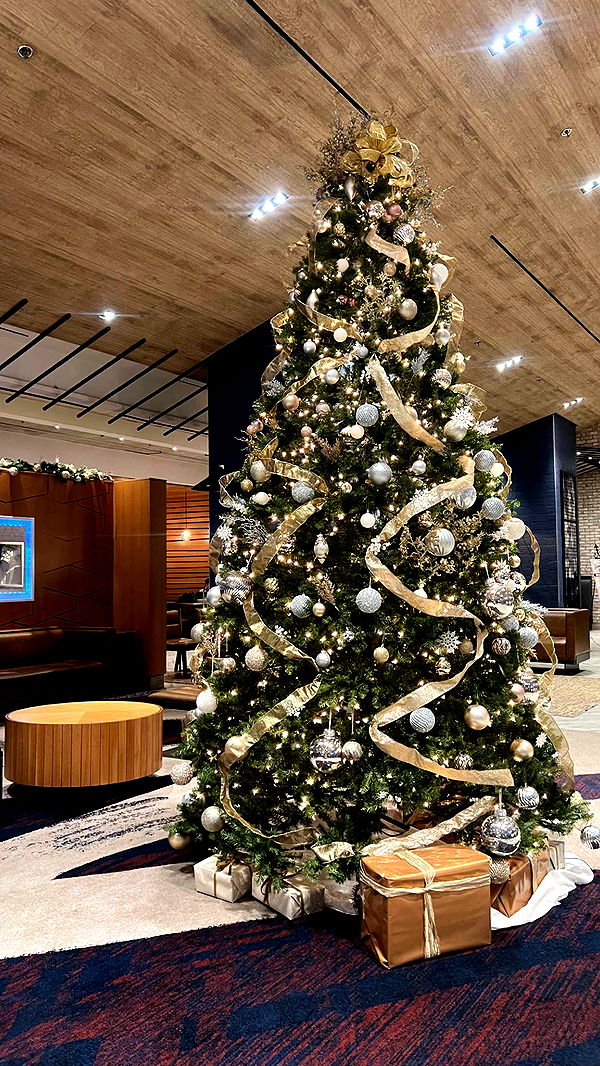 xxxtinacarmella image ~ Altpins