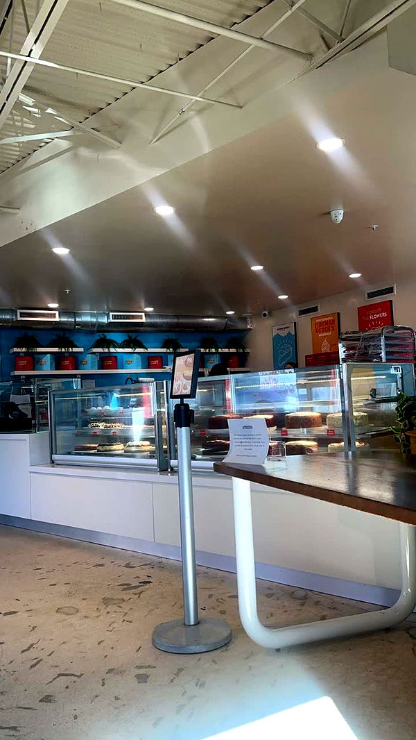 yaslenxoxo image ~ Altpins