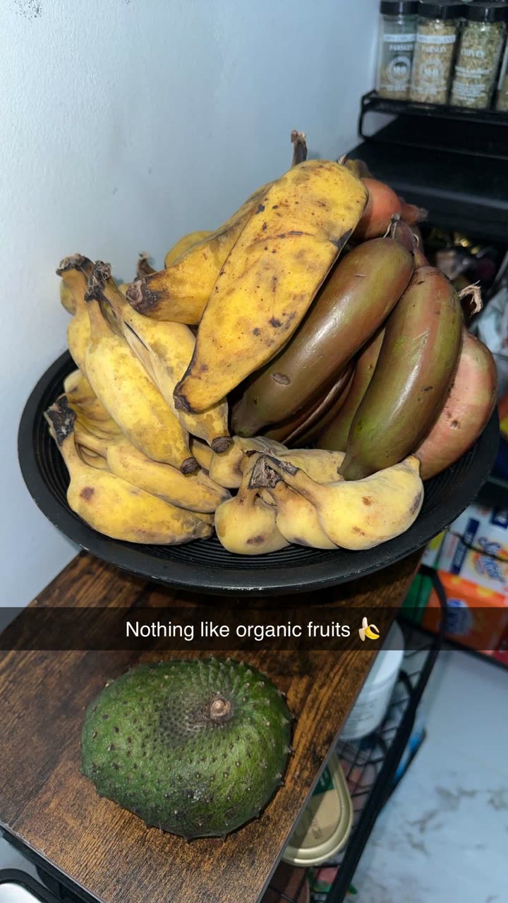 yaslenxoxo snapchat image archive image