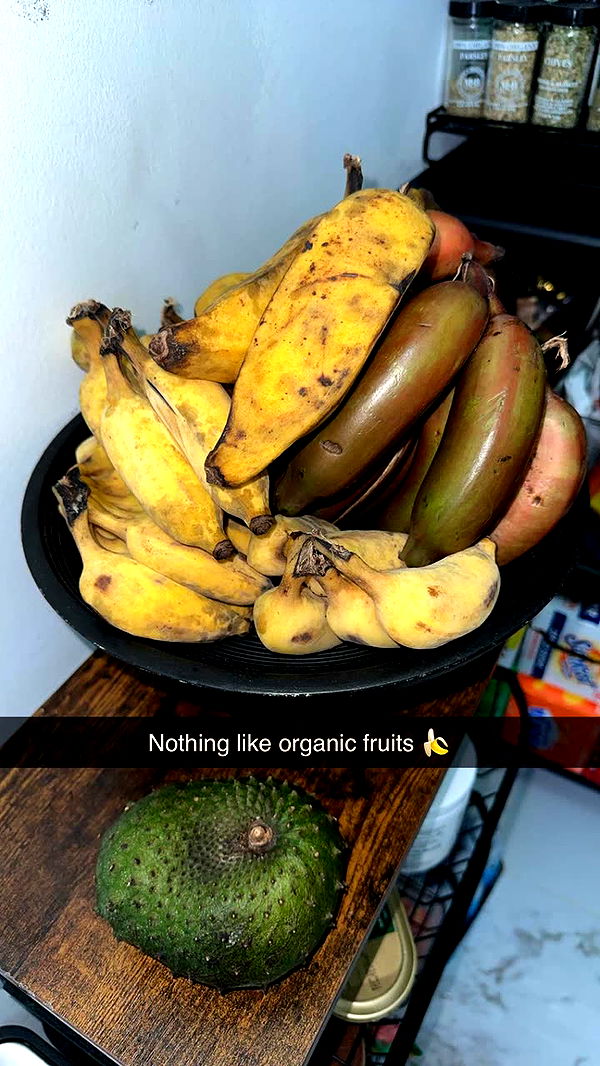 yaslenxoxo image ~ Altpins