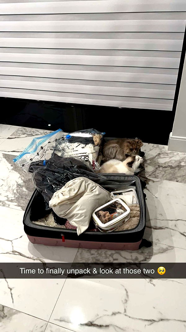 yaslenxoxo image ~ Altpins