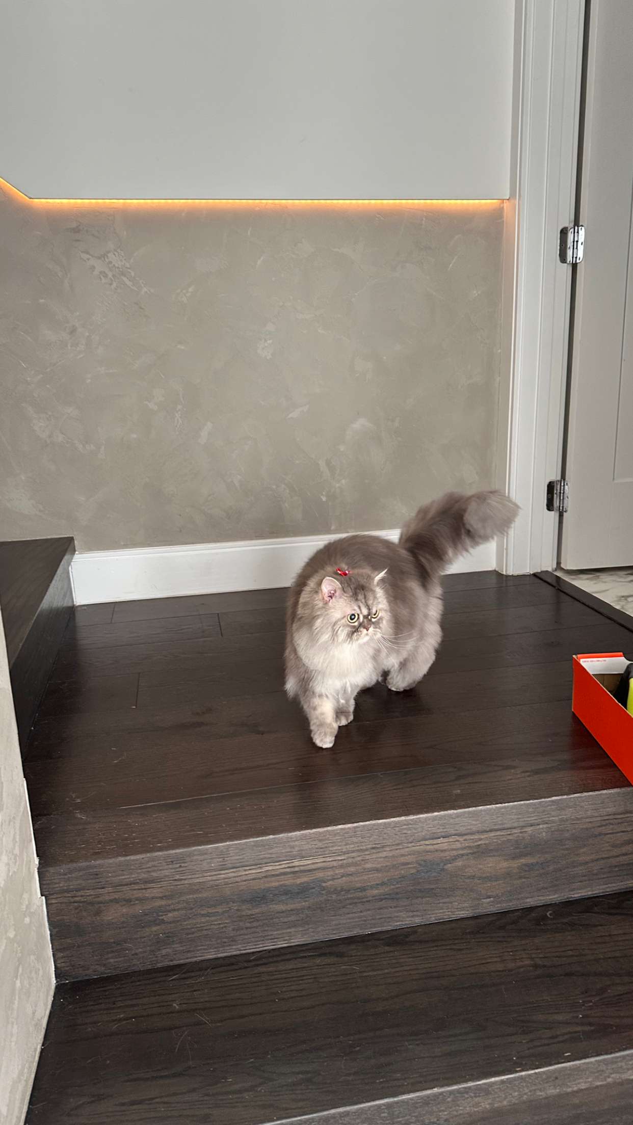 yaslenxoxo snapchat image archive image