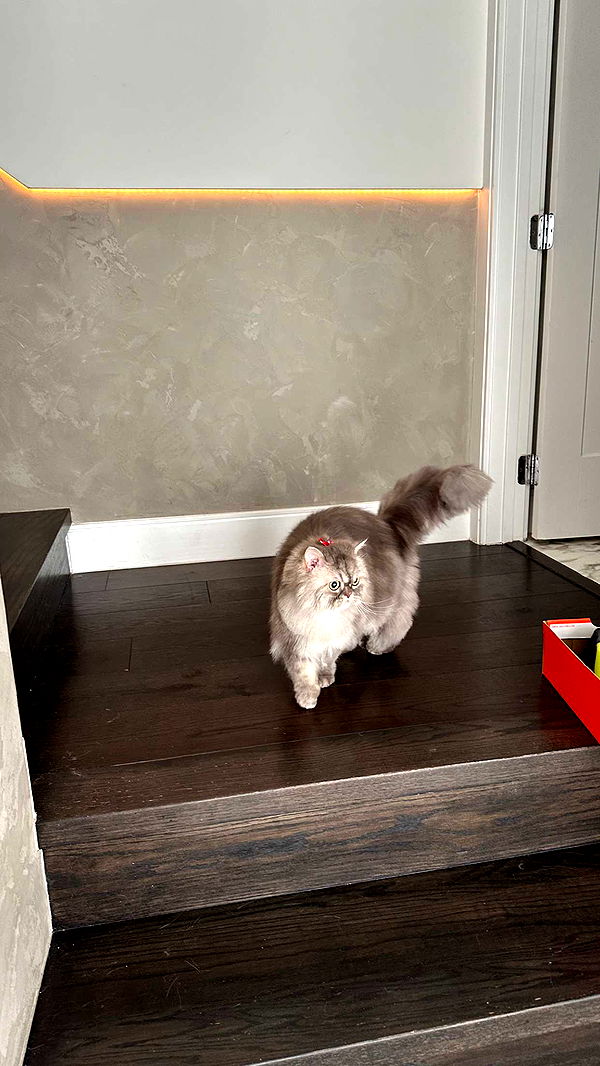 yaslenxoxo image ~ Altpins