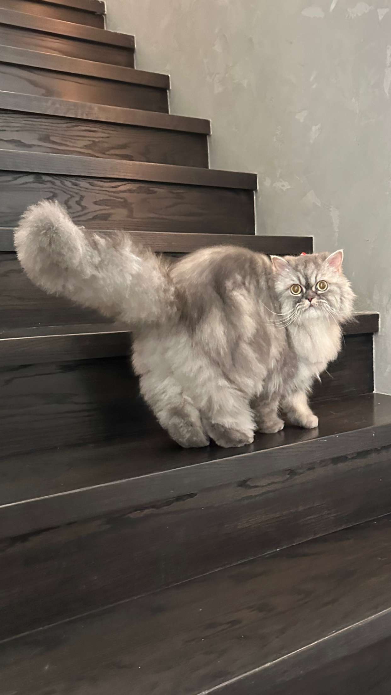 yaslenxoxo snapchat image archive image