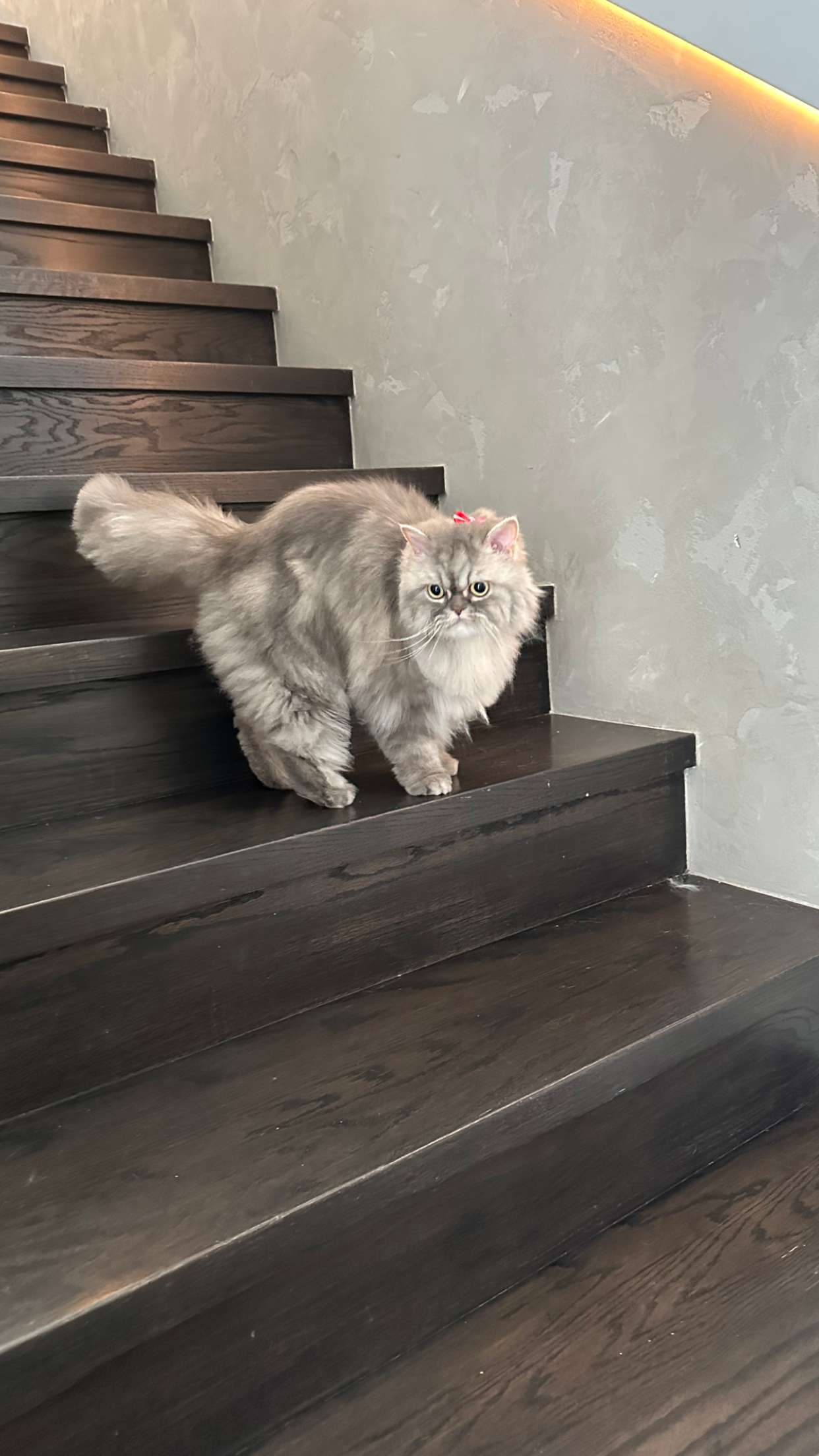 yaslenxoxo snapchat image archive image