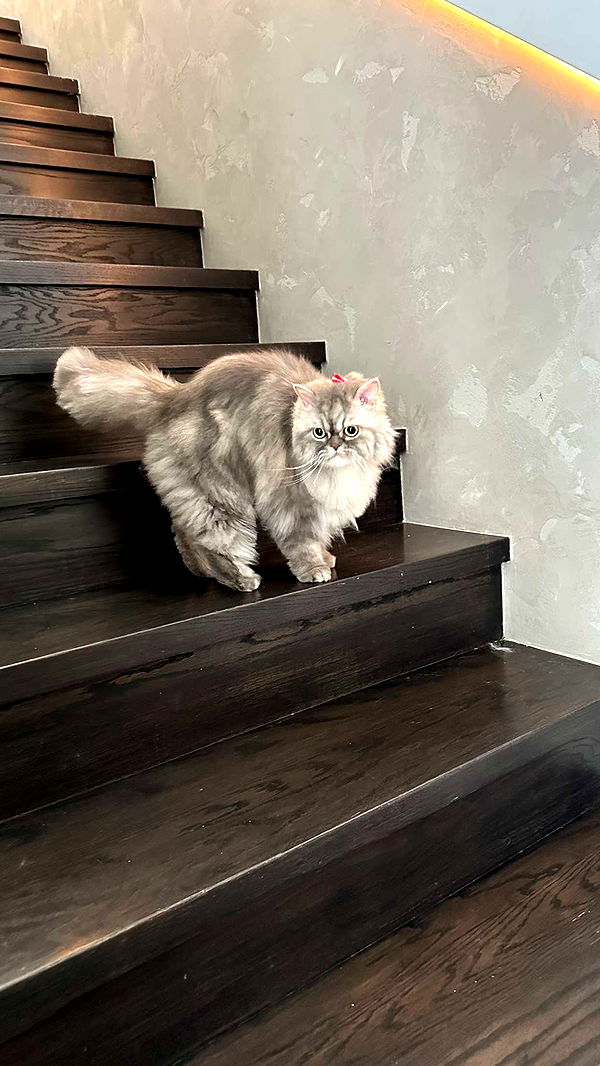 yaslenxoxo image ~ Altpins